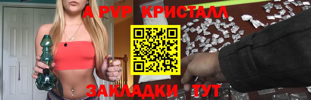 Альфа ПВП СК Электрогорск