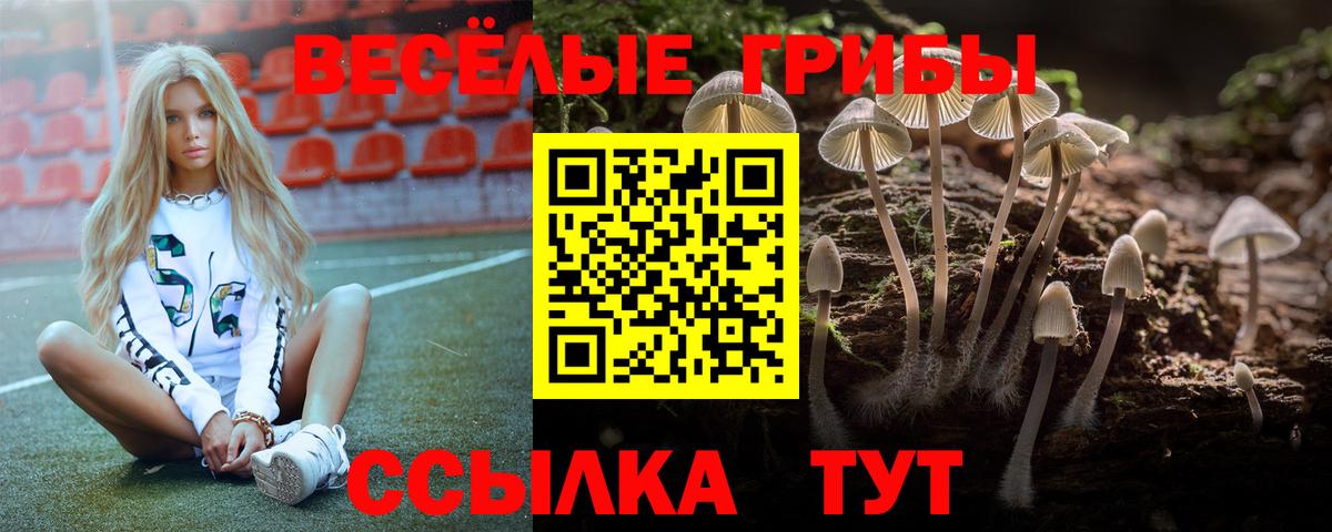 Псилоцибиновые грибы Psilocybine cubensis Электрогорск